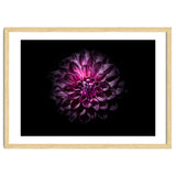 Backyard Flowers No 57 Color Version thumbnail