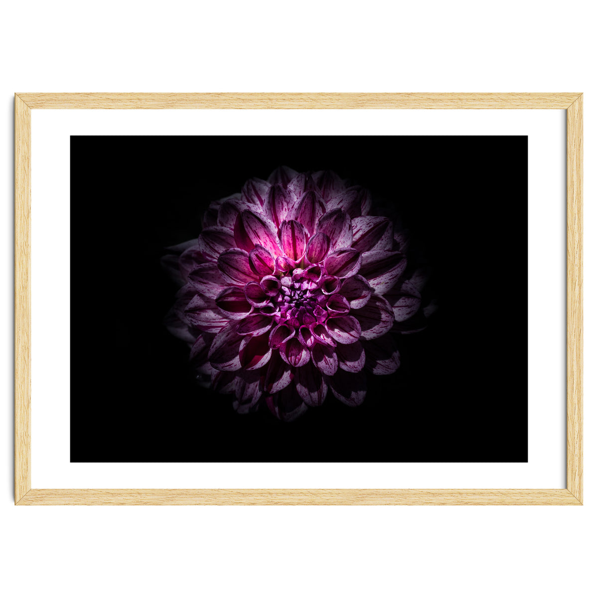 Backyard Flowers No 57 Color Version