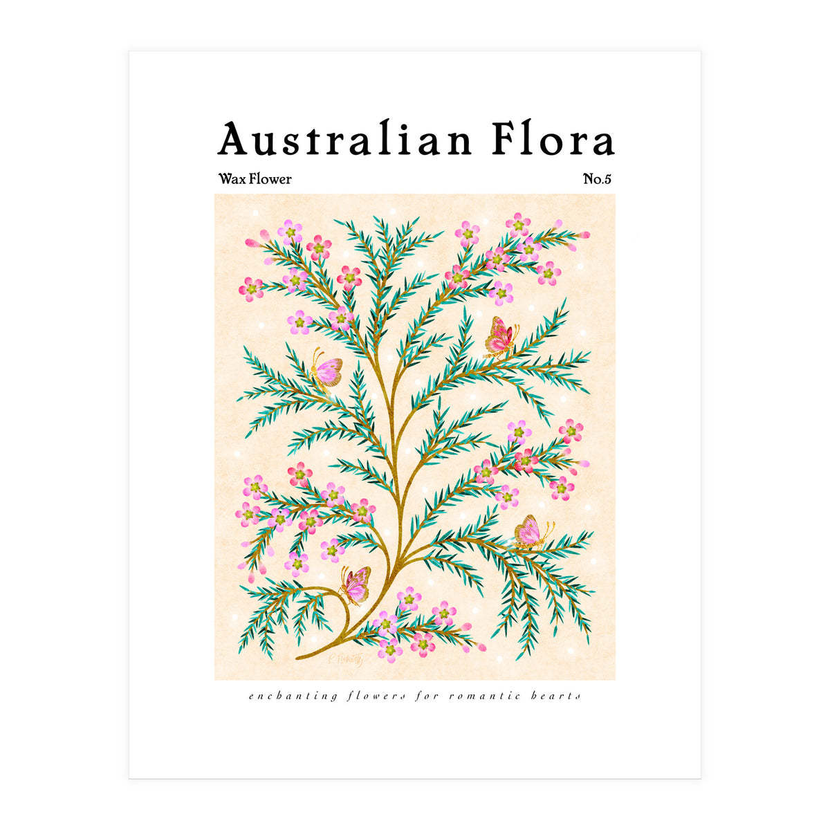 Australian Flora: Wax Flower (Print Only)