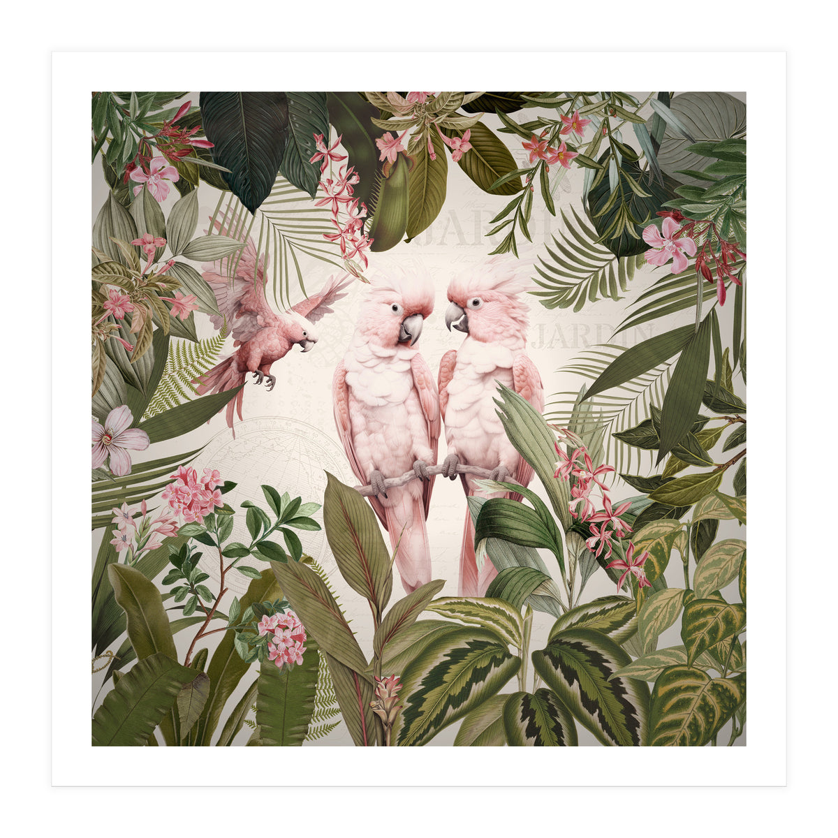 Pink Parrots Exotic Rainforest (Print Only)