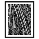Black Tectorius Plant Shoots Art thumbnail