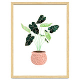 Home Plant | Ceramic Botanical Planter Illustration | Minimal Bohemian Watercolor Painting Polka Dot thumbnail