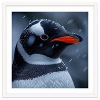 Close Up Penguin Portrait In Snowy Weather