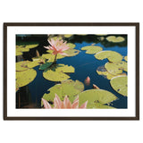 Lotus Pond | Landscape thumbnail