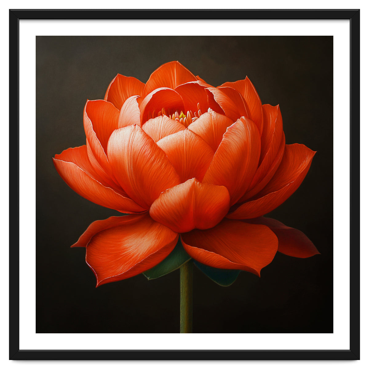 Double Lotus | Scarlet Solace