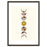 Floral Phases Of The Moon thumbnail