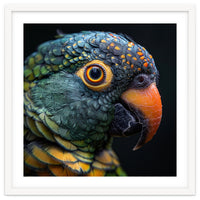 Close Up Of A Colorful Parrot's Face