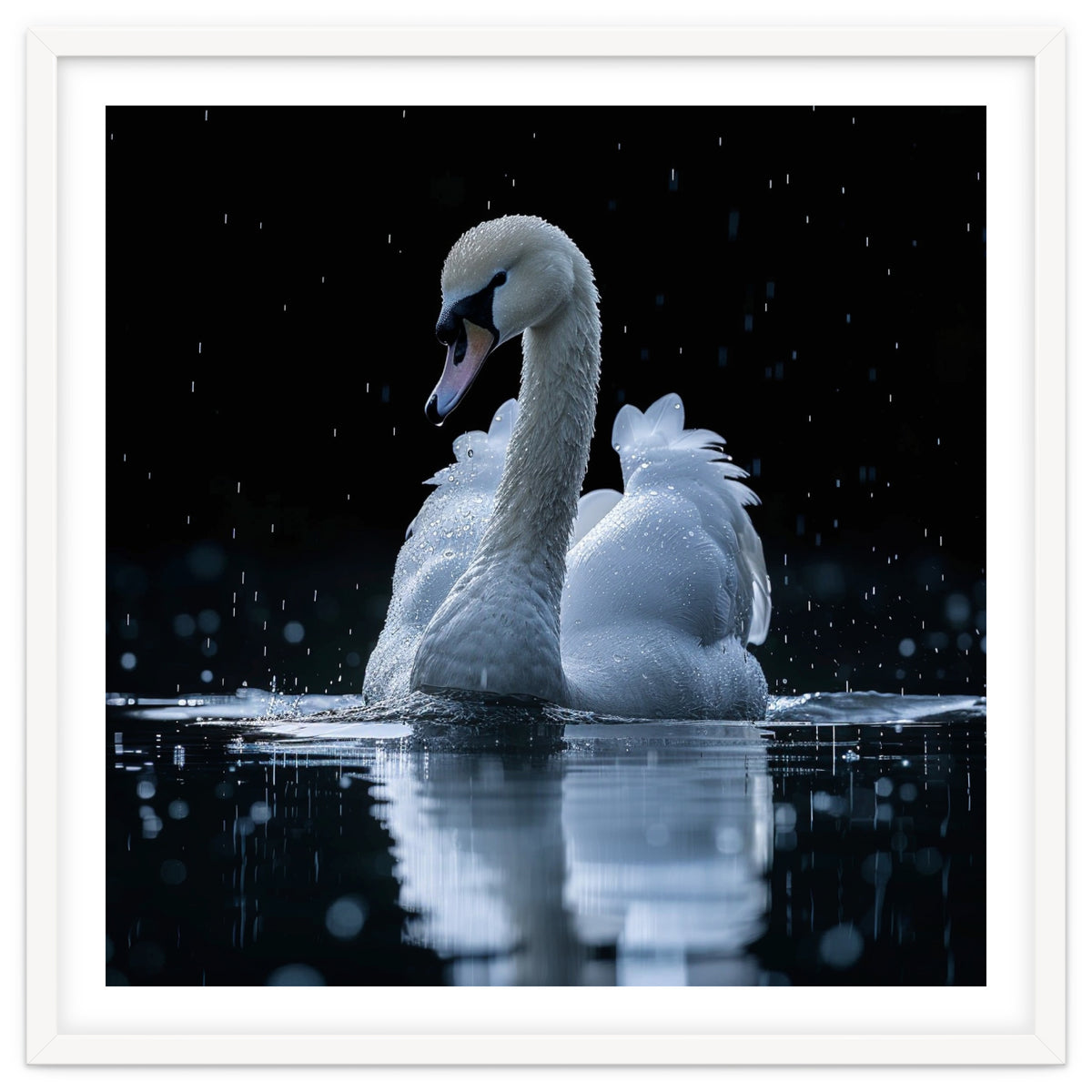 Majestic Swan Swimming In Dark Water