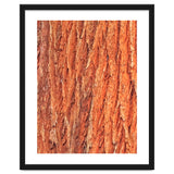 Tree Bark thumbnail