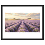 Provençal Sunset: Lavender Field Landscape thumbnail