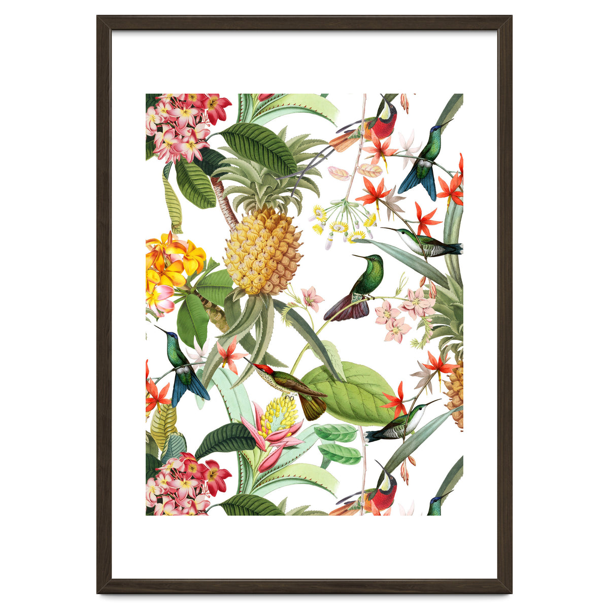 Hummingbirds in tropical Jungle