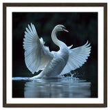 Majestic White Swan Spreading Wings On Water thumbnail