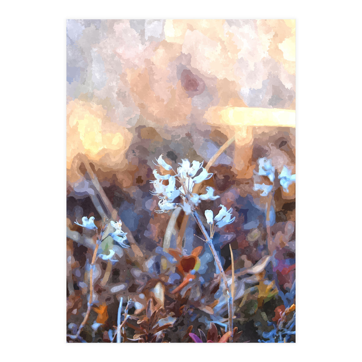 After The Rain (Print Only)