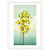 Lemon Tree thumbnail