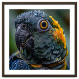 Close Up Of A Wet Macaw Parrot Head thumbnail
