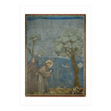 Saint Francis of Assisi preaching to the birds. Giotto. GIOTTO DE BONDONE (1266-1337). (Print Only) thumbnail