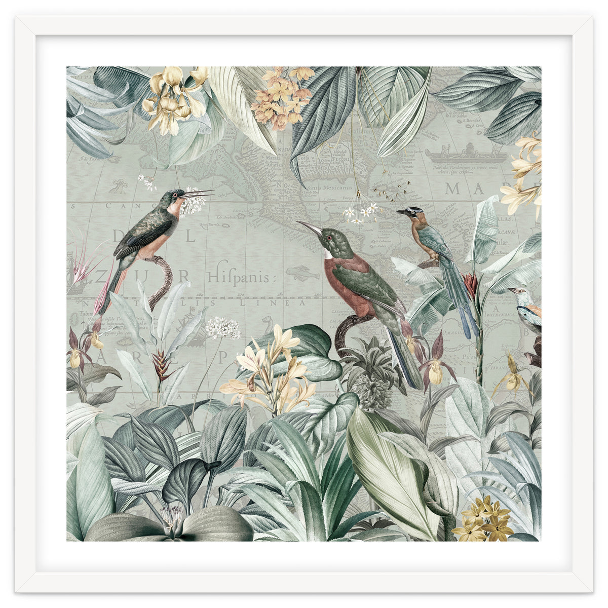 Vintage Exotic Birds Paradise Jungle