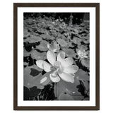 Hylas | Black & White thumbnail