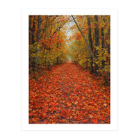 Lush Autumn Forest Path Covered (Print Only)
