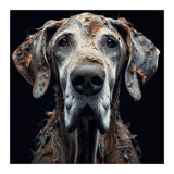 Old Dog 04 (Print Only) thumbnail