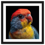 Close Up Colorful Parrot Portrait Vivid Plumage thumbnail