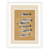 Minimal Fish Study thumbnail