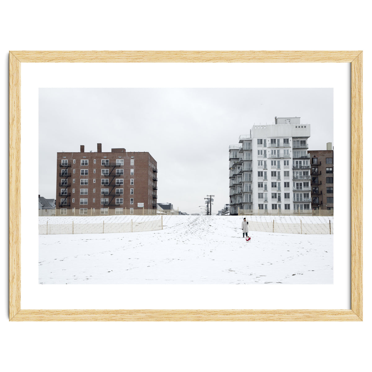 Walking with the dog on a snowy day