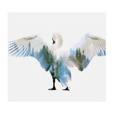 Swan (Print Only) thumbnail