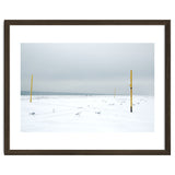 Seagulls in between the volleyball poles in winter snow beach thumbnail