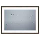 Flying seagulls in the winter sky thumbnail