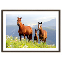 Three Horses
