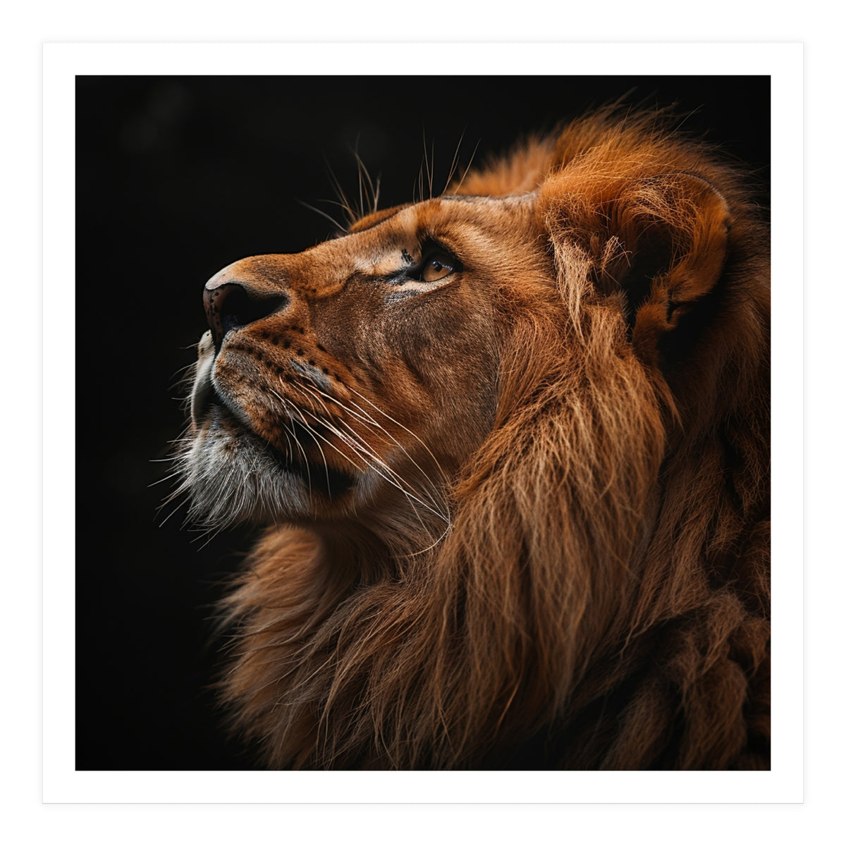 Majestic Lion Portrait Profile Majestic Beast (Print Only)