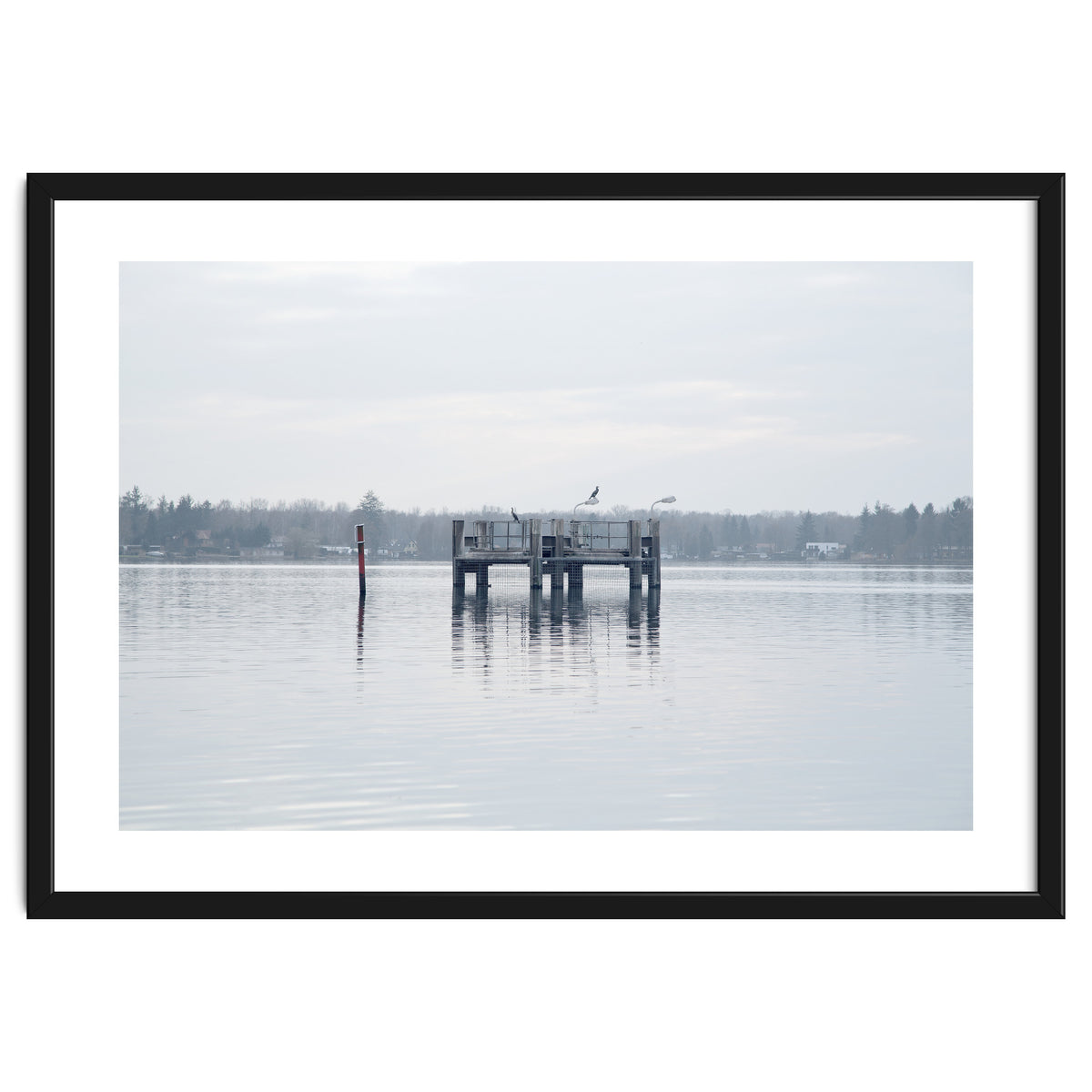 Birds rest in the Lake