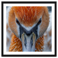 Close Up Of A Pelican's Beak With Water Droplets