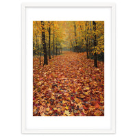 Ethereal Autumn Forest Path