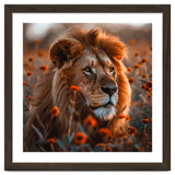 Majestic Lion Resting Among Orange Flowers thumbnail