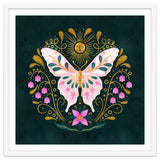 Butterfly And Sun thumbnail