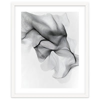 Abstract Black And White Flowing Lines Forming Organic Shapes And Forms