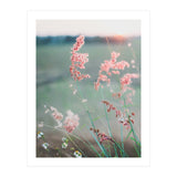 Dance With Air (Print Only) thumbnail