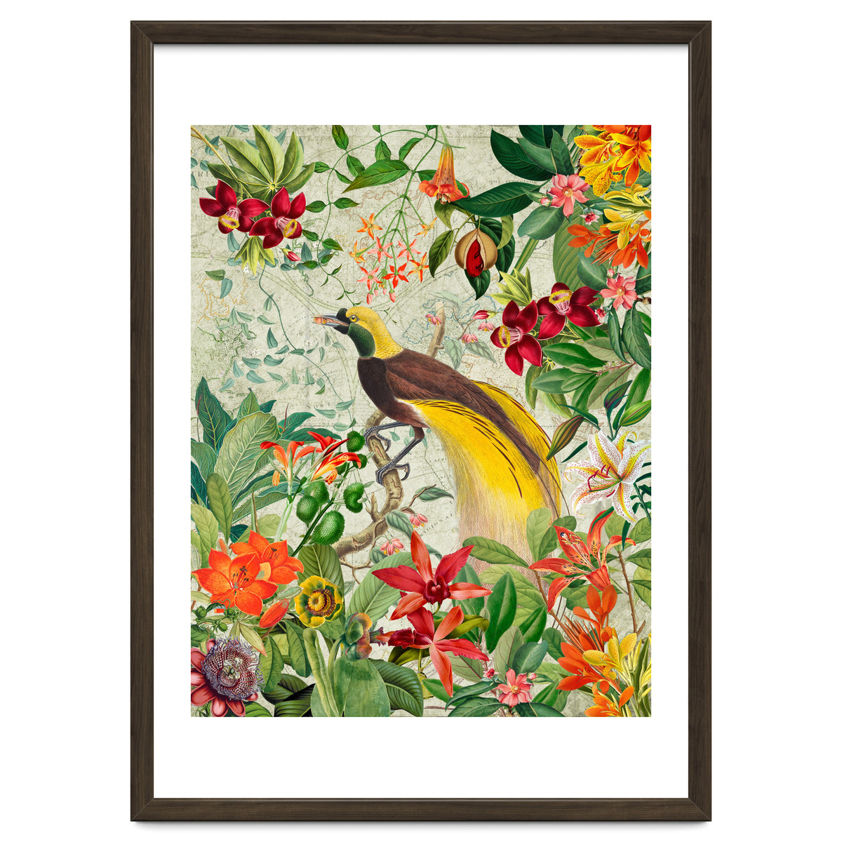 Bird of paradise vintage jungle