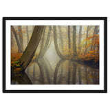 Bent trees in autumn thumbnail