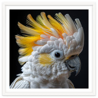 Close Up Of A Cockatoo With Yellow Crest