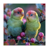 Two Lovebirds On A Branch Surrounded By Berries (Print Only) thumbnail