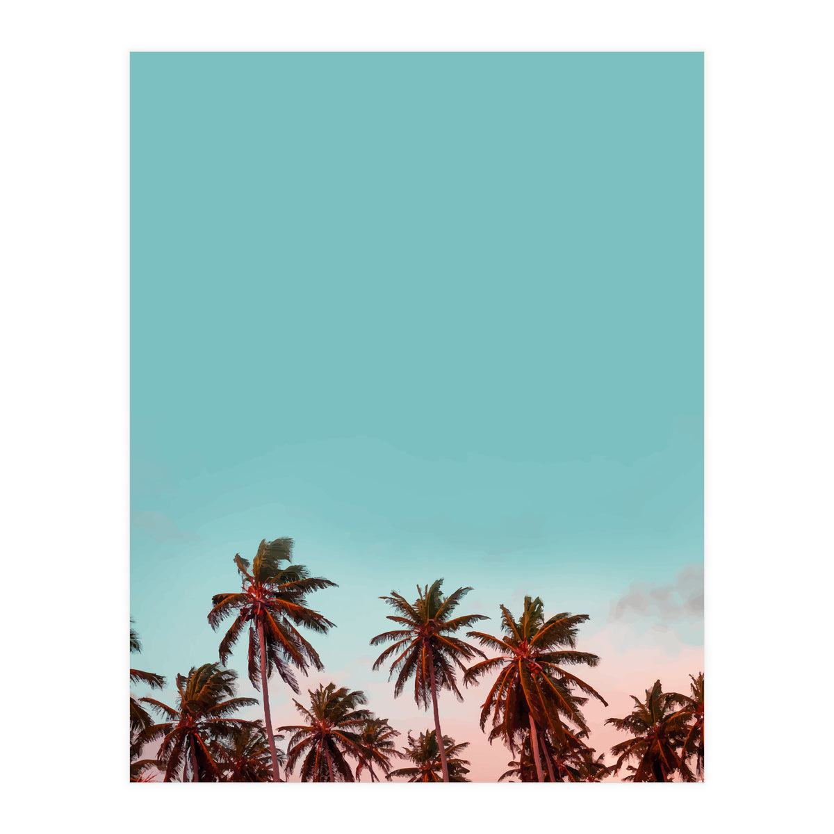 California (Print Only)