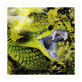 Green Viper Reptile (Print Only) thumbnail