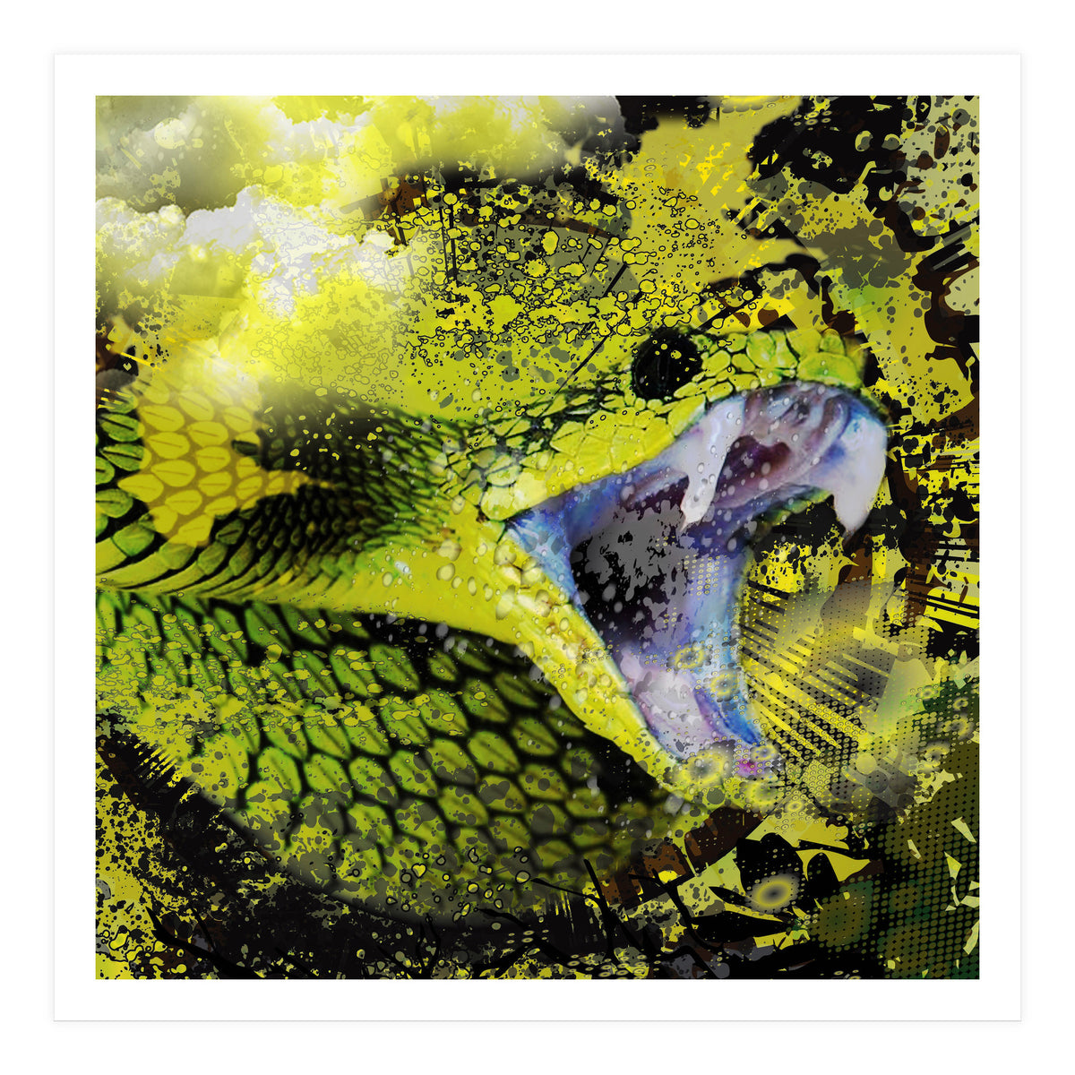 Green Viper Reptile (Print Only)