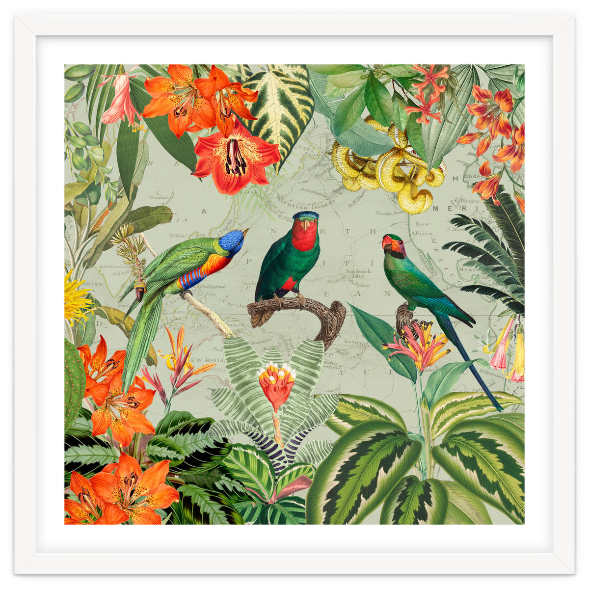 Exotic Parrots Jungle Landscape
