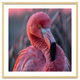 Pink Flamingo Bird Close Up Portrait thumbnail