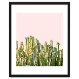 Cactus Blush #society6 #decor #buyart thumbnail
