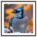 Blue Jay Bird In Winter Snowfall And Leaves thumbnail